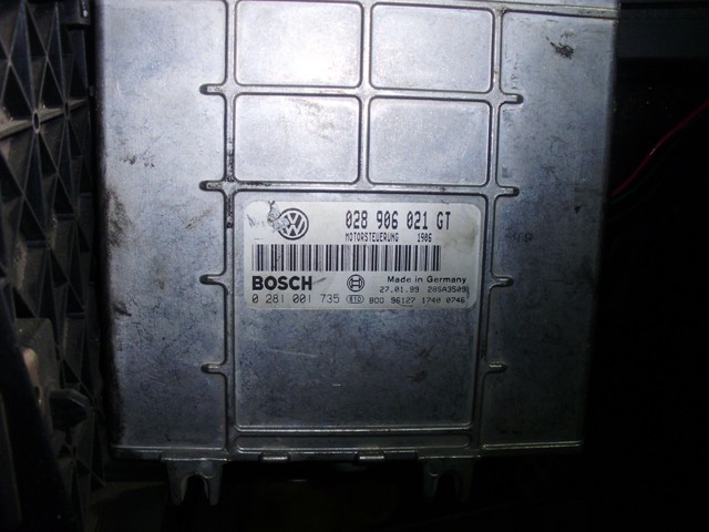 wevbPB180199.JPG